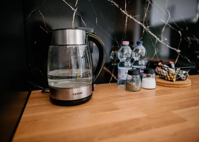 Vs - Apartament Nr 34 公寓 罗兹